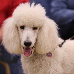 photograph by PeterW